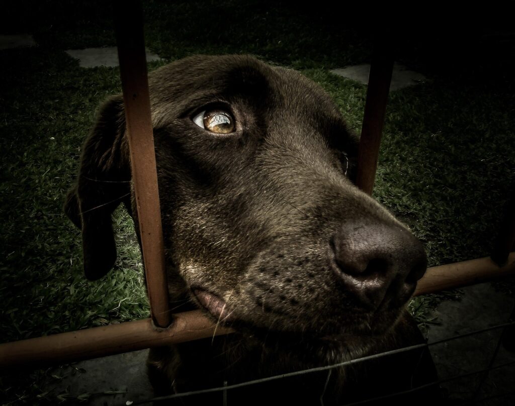 営業から採用人事未経験へのスムーズな入口は？