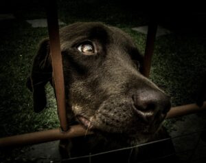 営業から採用人事未経験へのスムーズな入口は？