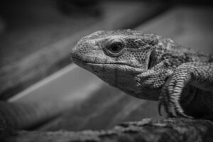 営業における男性の強み弱みの伝え方の例は？