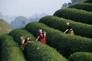 営業経験を活かした他職種向けの自己PRの例は？