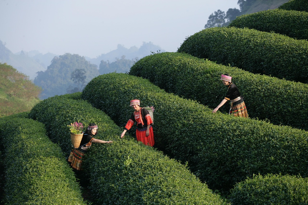 営業経験を活かした他職種向けの自己PRの例は？