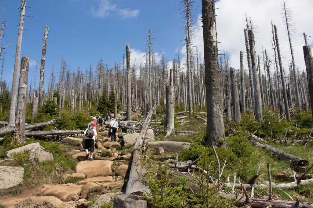 営業テレアポがつらいと感じるあなたにおすすめの転職相談は？