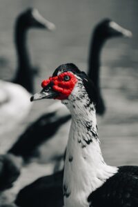 営業未経験者が効果的に自分をアピールする方法は？