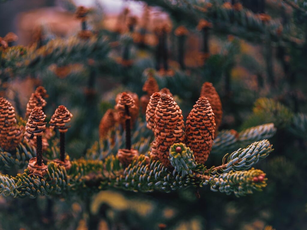 3月末の退職から4月入社までのスケジュールはどう立てるべき？