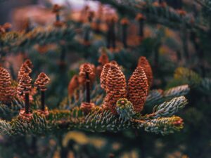 3月末の退職から4月入社までのスケジュールはどう立てるべき？