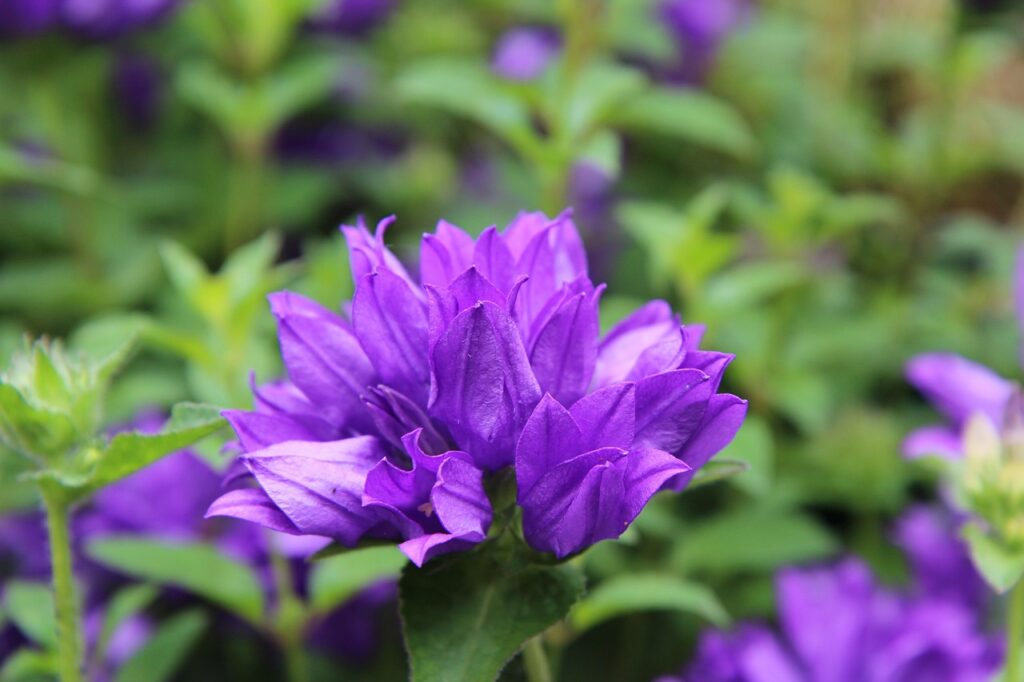 決算期に男性が引き止められた時の対応と断り方は？