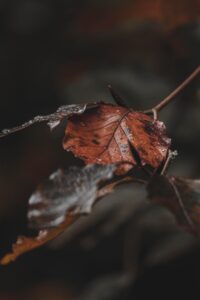 営業キャリアの棚卸しシートを使った未経験者の転職成功法は？