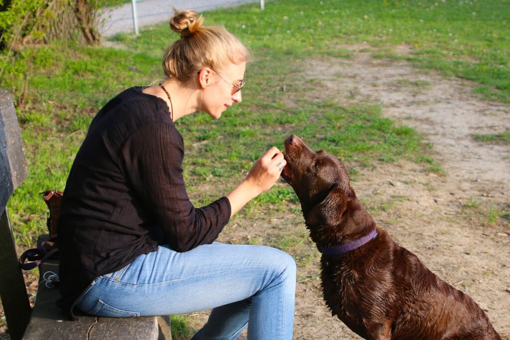 転職エージェントの報酬相場はどれくらい？