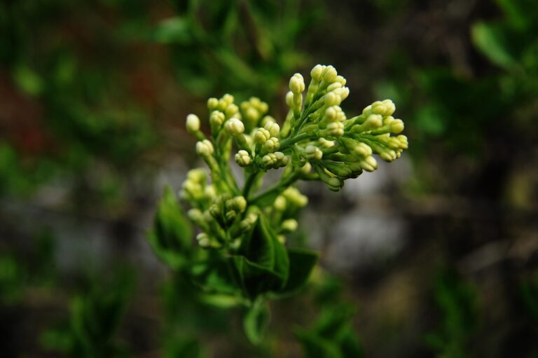 転職エージェントの料金はどれくらいかかる？
