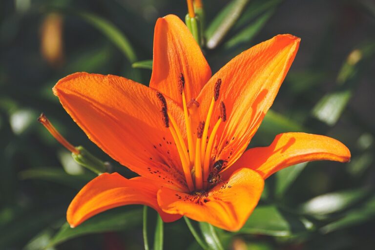 営業職への転職相談はどこでするべき？